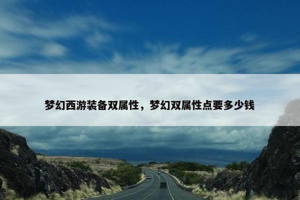 梦幻西游装备双属性，梦幻双属性点要多少钱