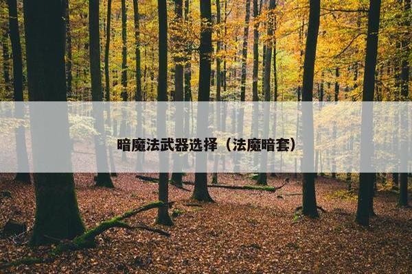 暗魔法武器选择（法魔暗套）