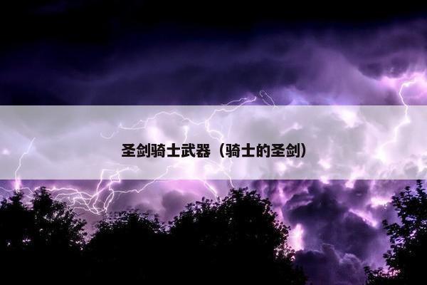 圣剑骑士武器（骑士的圣剑）