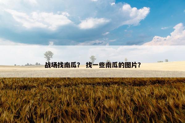 战场找南瓜？ 找一些南瓜的图片？
