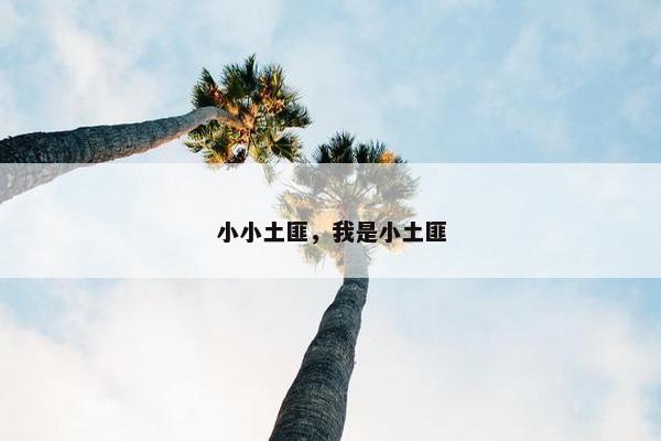 小小土匪，我是小土匪