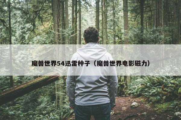 魔兽世界54迅雷种子（魔兽世界电影磁力）