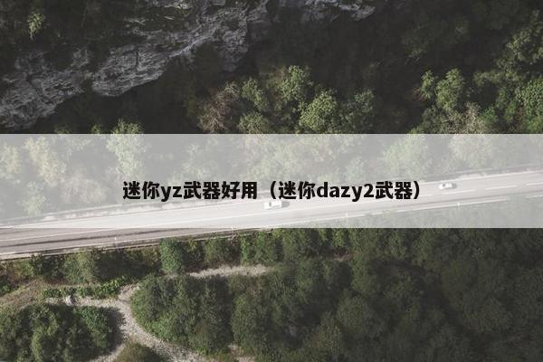 迷你yz武器好用（迷你dazy2武器）