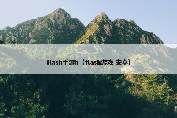 flash手游h(flash游戏 安卓) flash手游h(flash游戏 安卓)