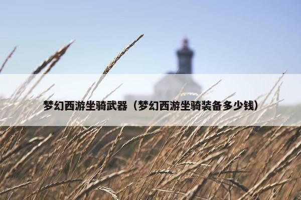 梦幻西游坐骑武器（梦幻西游坐骑装备多少钱）