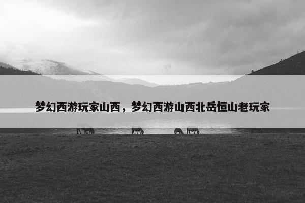 梦幻西游玩家山西，梦幻西游山西北岳恒山老玩家