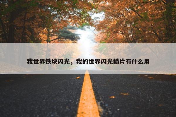 我世界铁块闪光，我的世界闪光鳞片有什么用