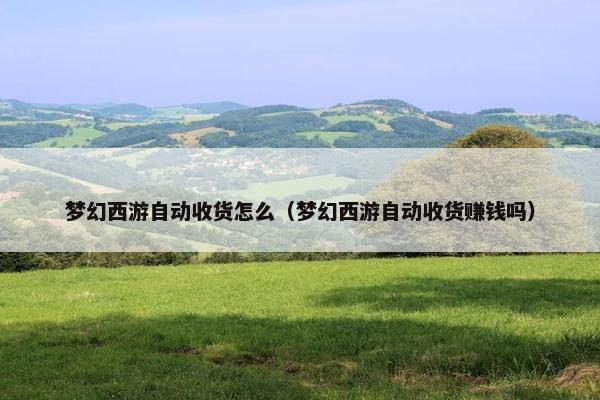 梦幻西游自动收货怎么（梦幻西游自动收货赚钱吗）