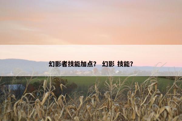 幻影者技能加点？ 幻影 技能？
