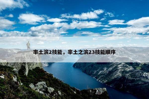 率土滨2技能，率土之滨23技能顺序