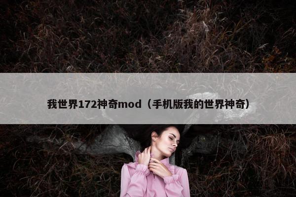 我世界172神奇mod（手机版我的世界神奇）