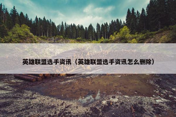 英雄联盟选手资讯（英雄联盟选手资讯怎么删除）