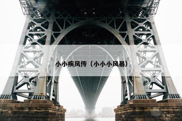 小小疾风传（小小小风暴）