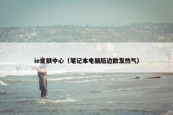 ie皮肤中心（笔记本电脑后边散发热气）