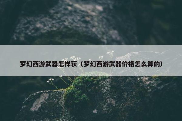 梦幻西游武器怎样获（梦幻西游武器价格怎么算的）