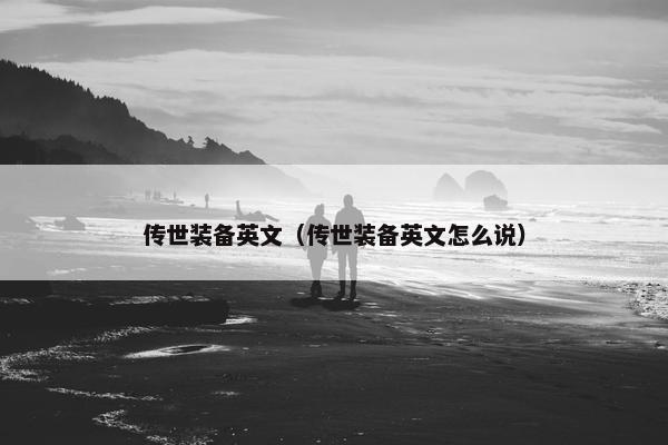 传世装备英文（传世装备英文怎么说）