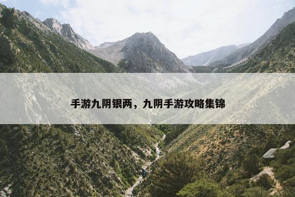 手游九阴银两，九阴手游攻略集锦