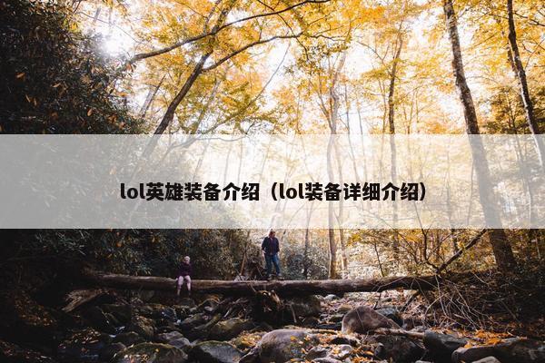 lol英雄装备介绍（lol装备详细介绍）
