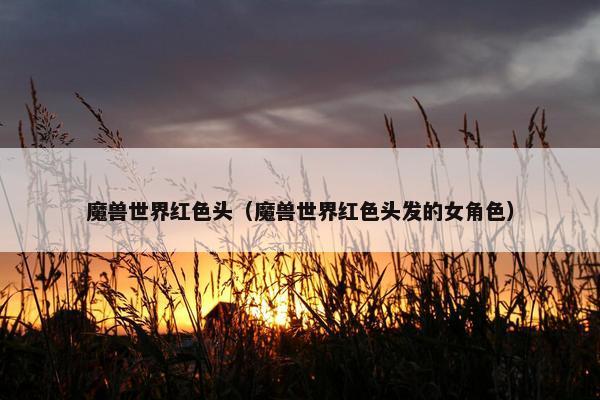魔兽世界红色头（魔兽世界红色头发的女角色）