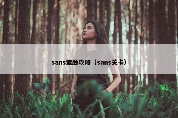 sans谜题攻略(sans关卡) sans谜题攻略(sans关卡)