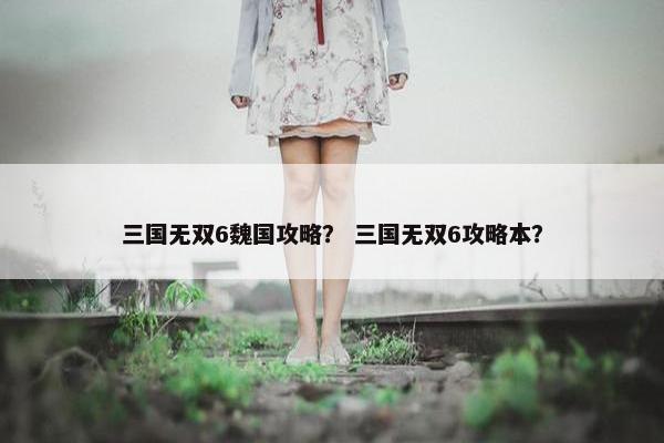 三国无双6魏国攻略？ 三国无双6攻略本？