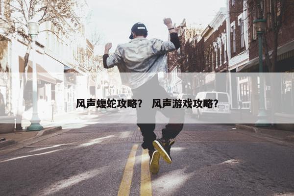 风声蝮蛇攻略？ 风声游戏攻略？