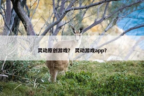 灵动原创游戏？ 灵动游戏app？