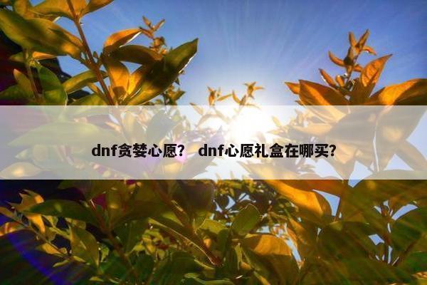dnf贪婪心愿？ dnf心愿礼盒在哪买？