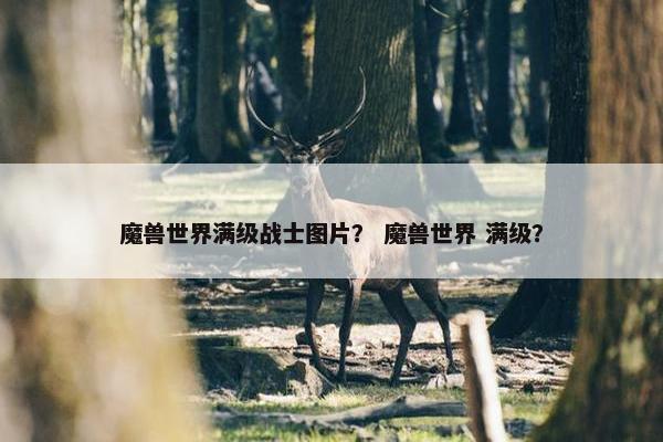 魔兽世界满级战士图片？ 魔兽世界 满级？