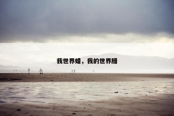 我世界蜡，我的世界腊