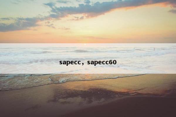 sapecc，sapecc60