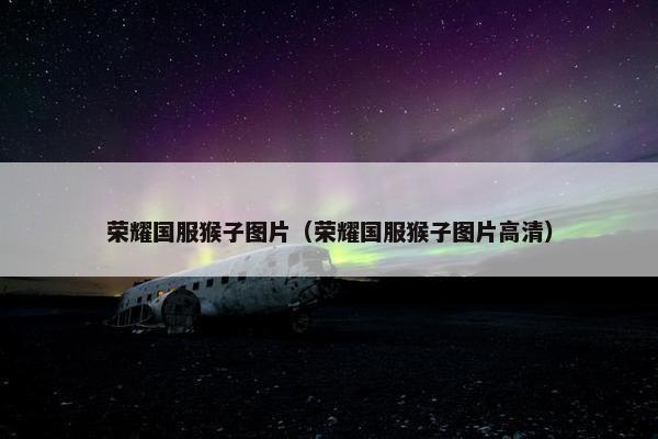 荣耀国服猴子图片（荣耀国服猴子图片高清）