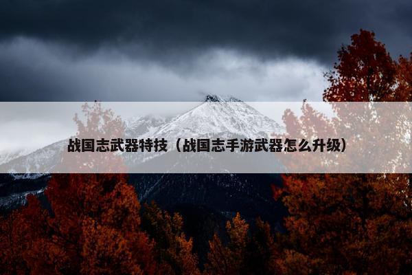 战国志武器特技（战国志手游武器怎么升级）