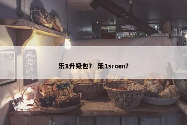 乐1升级包？ 乐1srom？
