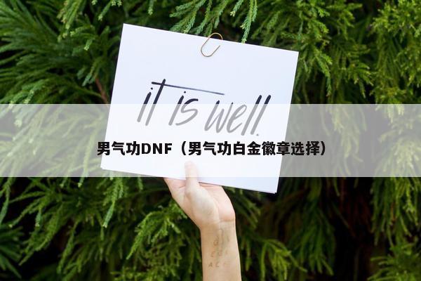 男气功DNF（男气功白金徽章选择）
