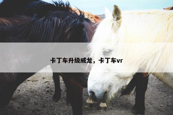 卡丁车升级威龙，卡丁车vr