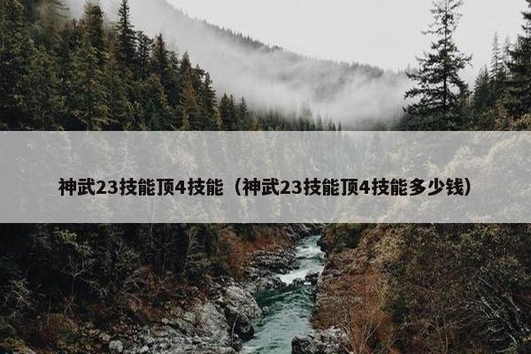 神武23技能顶4技能（神武23技能顶4技能多少钱）
