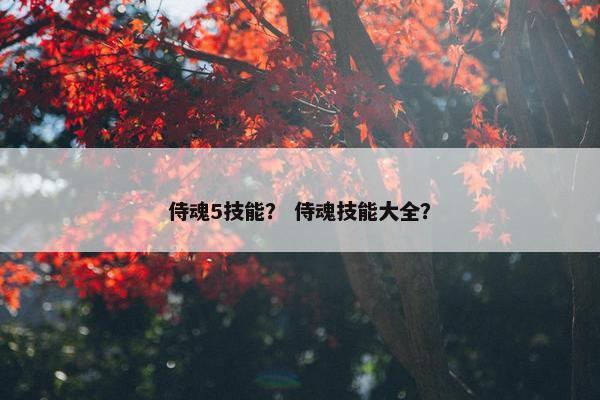 侍魂5技能？ 侍魂技能大全？