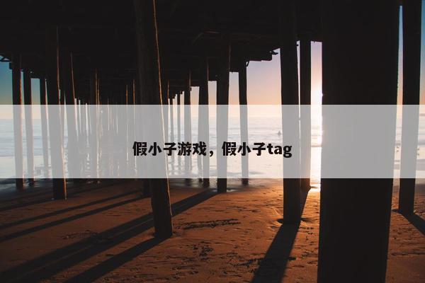 假小子游戏，假小子tag