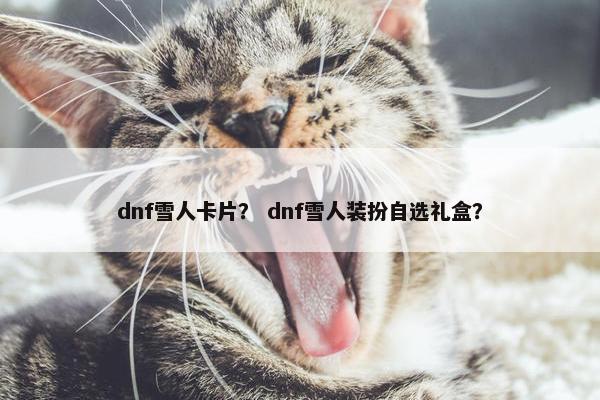 dnf雪人卡片？ dnf雪人装扮自选礼盒？