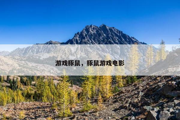 游戏豚鼠，豚鼠游戏电影