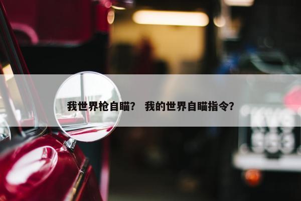 我世界枪自瞄？ 我的世界自瞄指令？