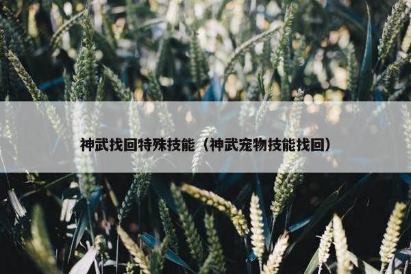 神武找回特殊技能（神武宠物技能找回）