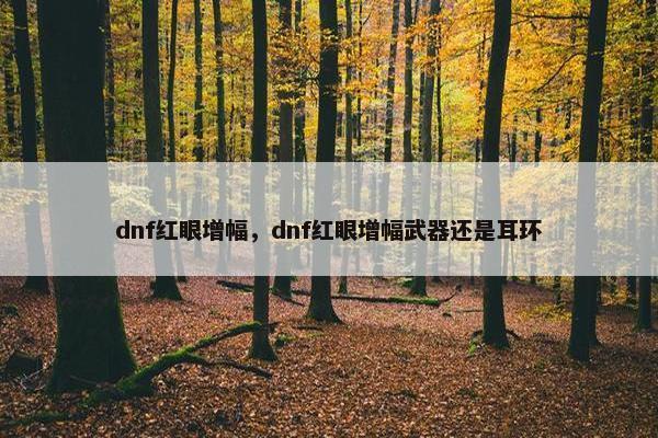 dnf红眼增幅，dnf红眼增幅武器还是耳环