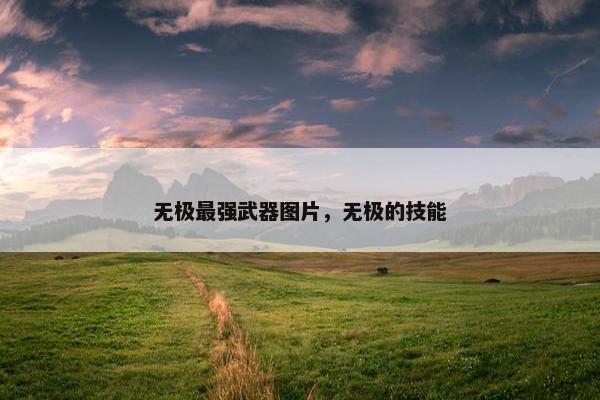无极最强武器图片，无极的技能