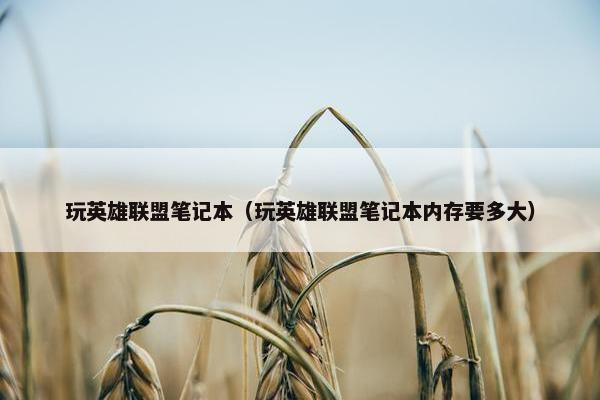 玩英雄联盟笔记本（玩英雄联盟笔记本内存要多大）