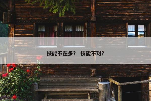 技能不在多? 技能不对? 技能不在多? 技能不对?
