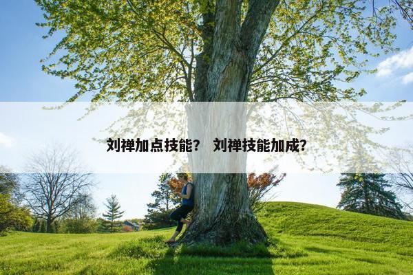 刘禅加点技能？ 刘禅技能加成？