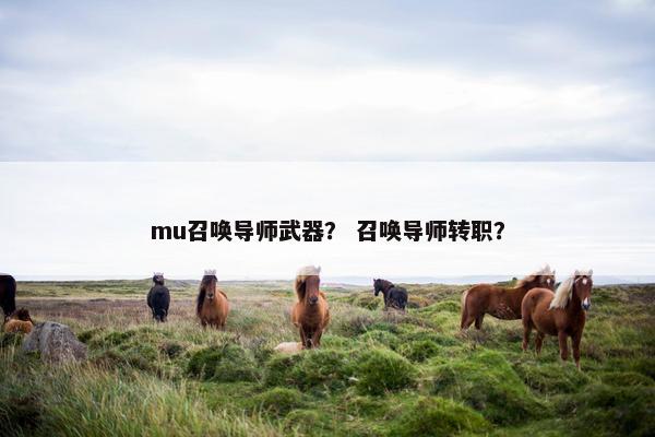 mu召唤导师武器？ 召唤导师转职？