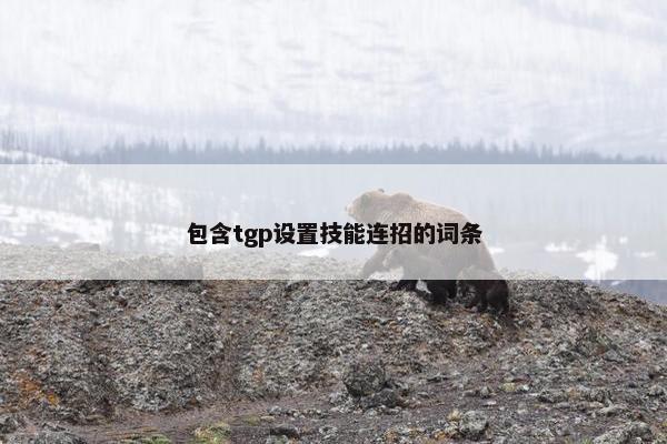 包含tgp设置技能连招的词条
